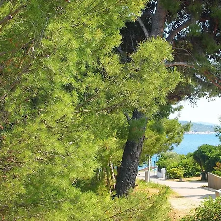 Rea Orebi - One Bedroom With Terrace 3 * Orebic