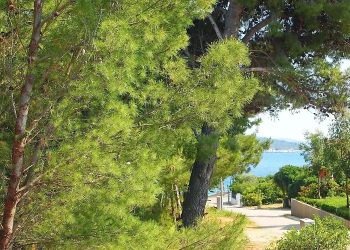 Rea Orebi - One Bedroom With Terrace 3 * Orebić